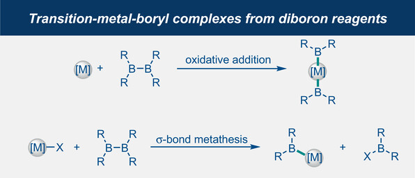 Self Photos / Files - 999