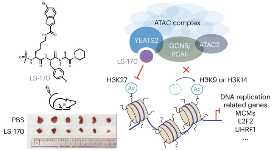 Self Photos / Files - 1010