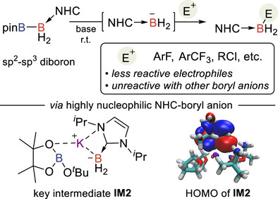 Self Photos / Files - 1046