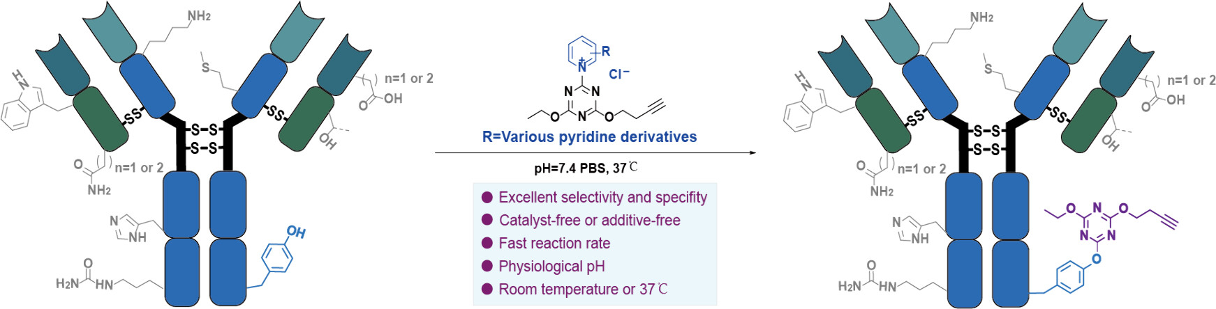 Self Photos / Files - 1053